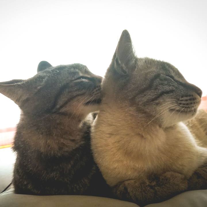 3641bb70 1ab7 4090 b170 5b2f9fbafc68 1588026309229