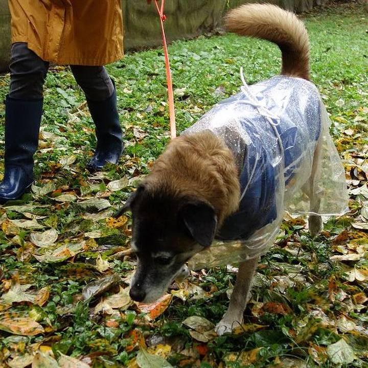 36422018 8ebe 4e0f 8e7b 5bb7c67c114f 1508034368082