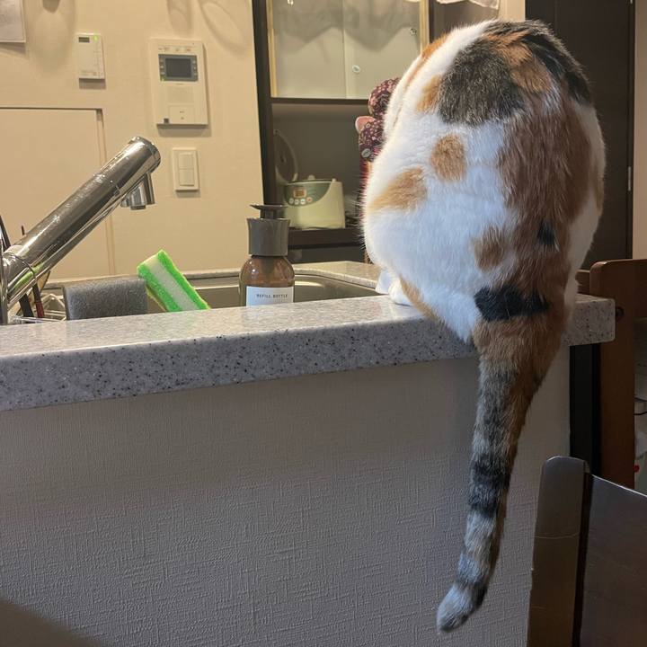 364298bb 34ba 45b0 b40a 0197ba8e2af4 1760014984144