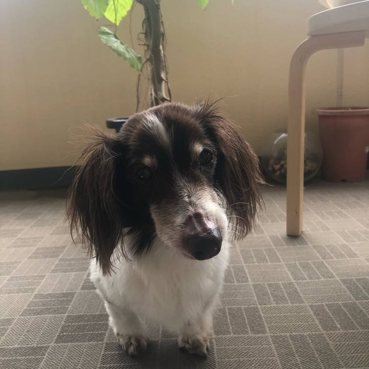 3642a311 a50c 4065 ae54 d0173f5331d4 1624835390869