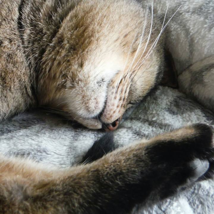 3642db49 496c 47f6 91d6 63e4ce57d08a 1538979725435