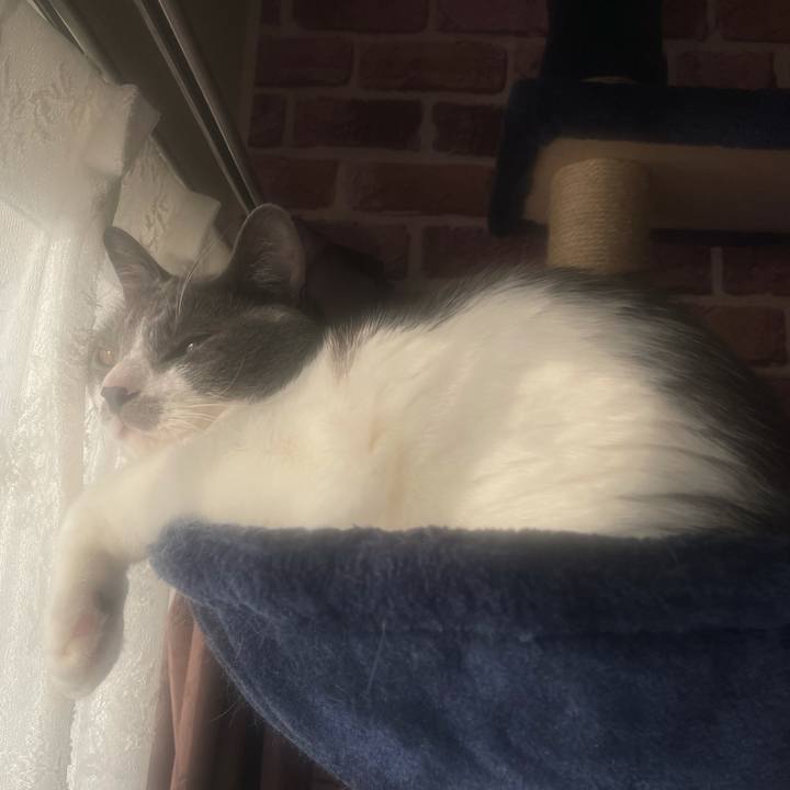 3642f0e2 1373 402e 9c0b d56bcaca8d52 1639610205503