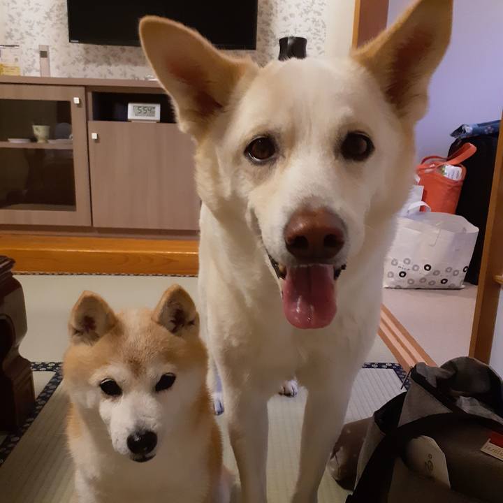 3642fbdc bfe6 449b a968 98f8cfaf00b6 1679655987251