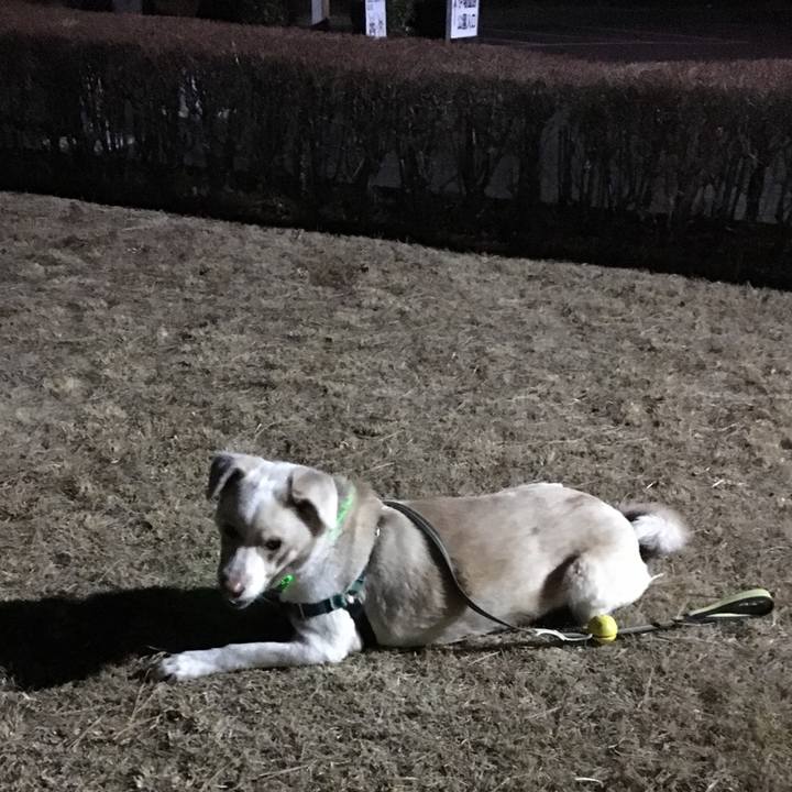 36430e26 3c6f 4ce7 aa81 58f8537c5dcb 1515838558080