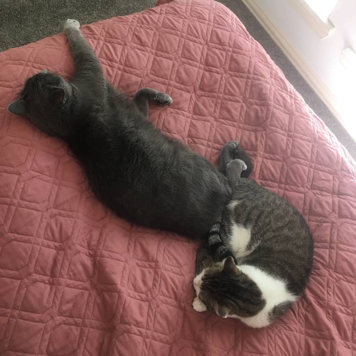 36432d6b 322e 4f15 a20c aa08214bad90 1652317402660