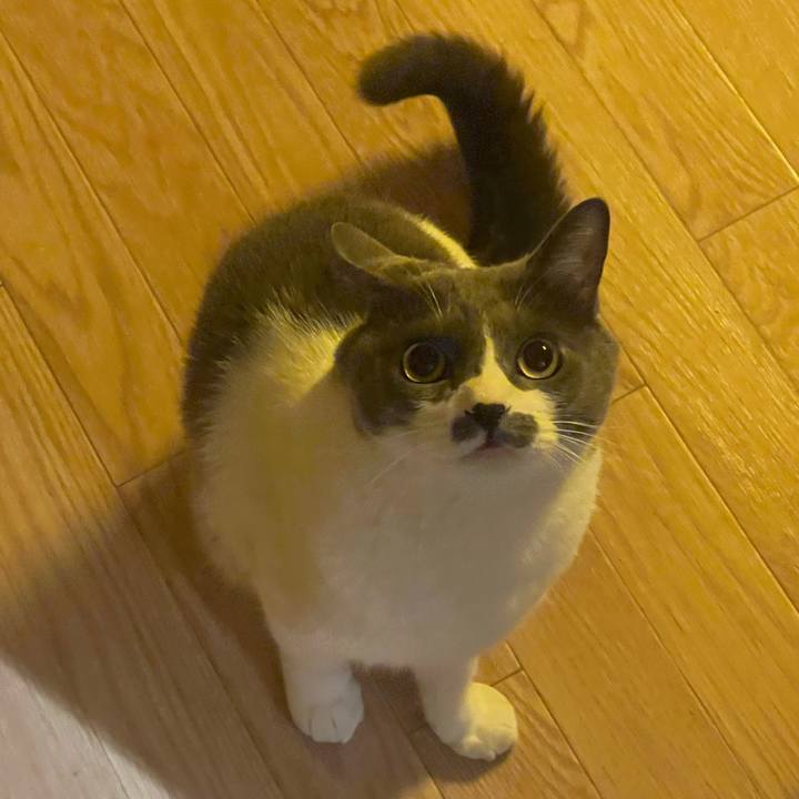 3643abfa 7130 45e3 812e f5a3e0e84311 1725125212662