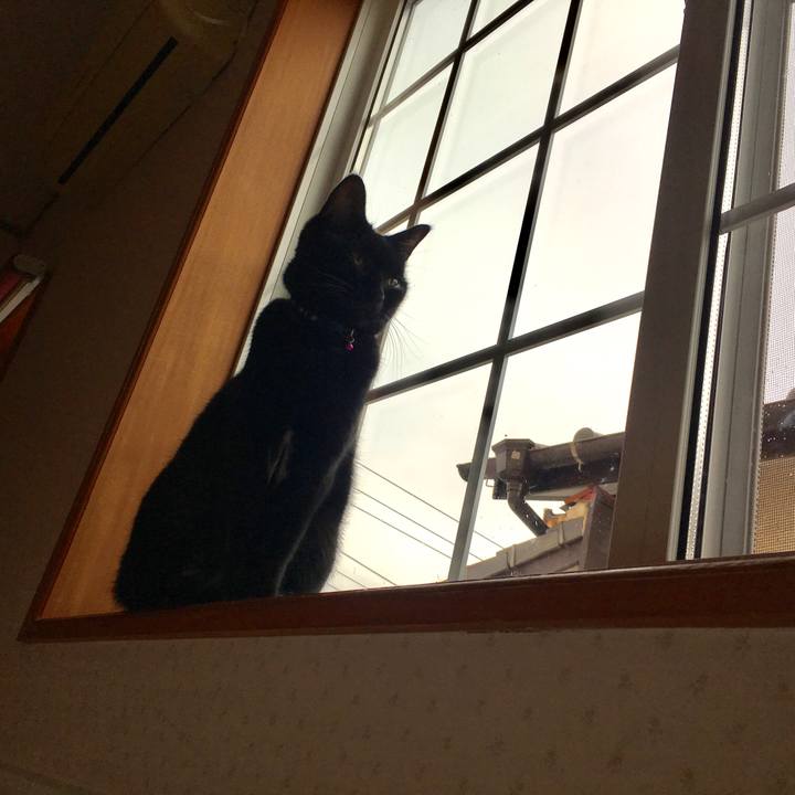 3643b23f bda3 4445 90cf af715b1da227 1508566160006