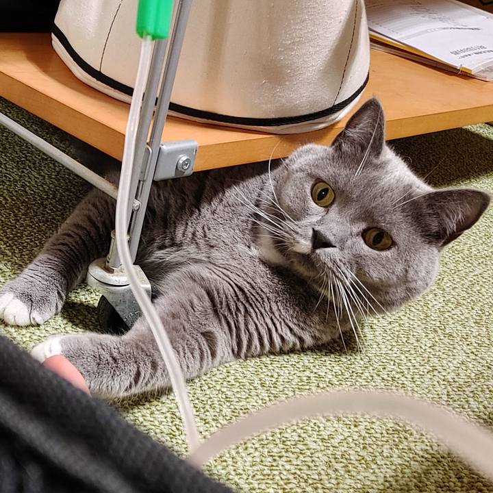 3643c448 a70b 46f0 8cf7 65a3ffdae477 1627560793775