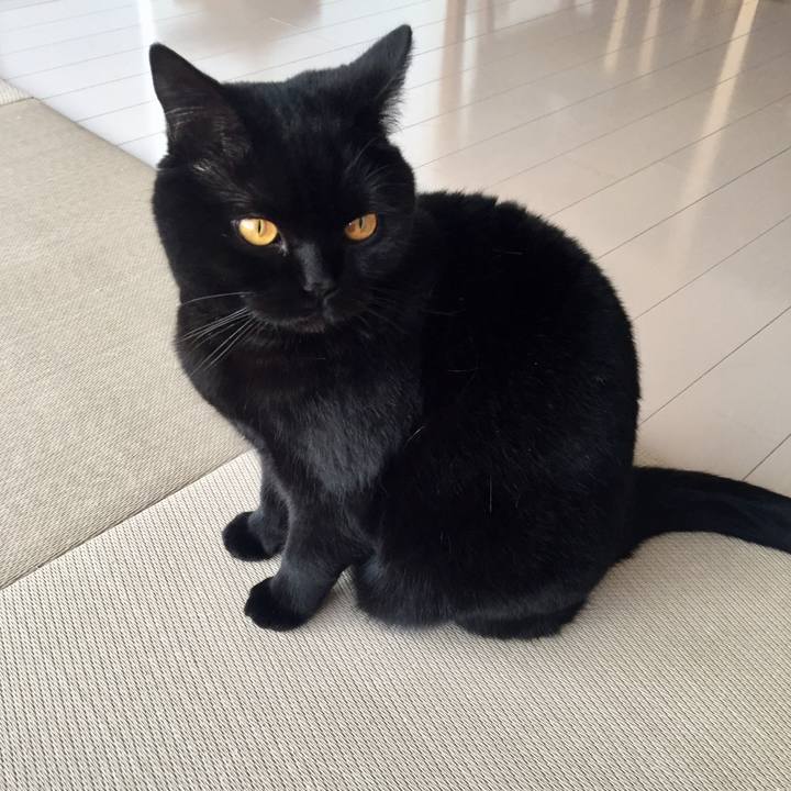 3643f391 9cdd 4553 9c24 969a2a8ae9d6 1584493097776