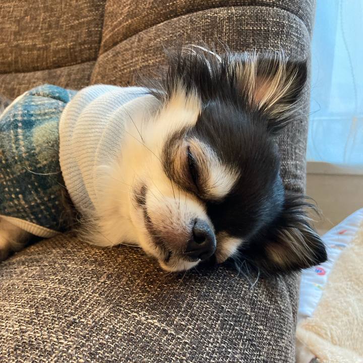 364411b2 e31f 4c76 9301 2b0a55c09fc4 1710950267272