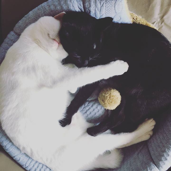 364422f0 1f3d 4084 a757 0a531367ae63 1538702723434