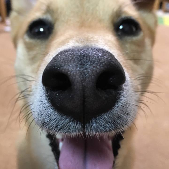 36442a78 e4f3 4d92 92dd 70f8de151c73 1523770933524