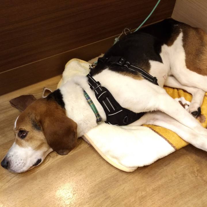 36443626 9790 43fb a4d6 e7f11e87d605 1561879017234