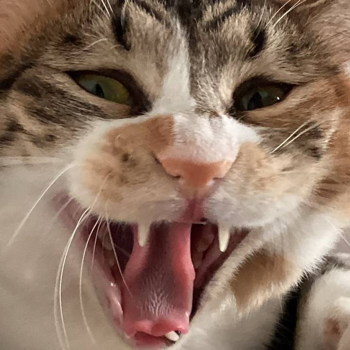 364476d4 07bc 4c61 998a 487bdca4fc02 1690774396631