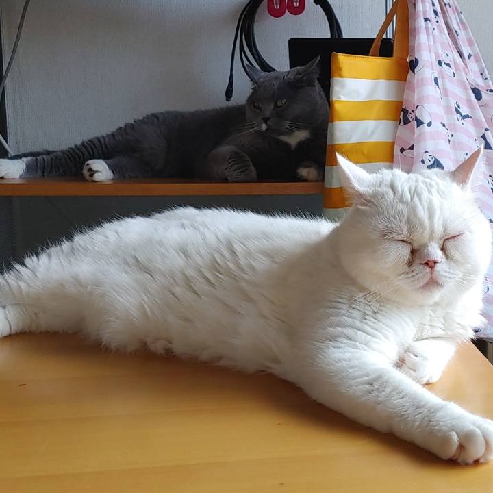 36448983 ec2f 4e71 a869 34b2fb914e9a 1627082629321