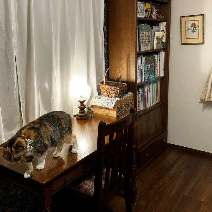 3644aebd 8b86 4b18 bdee 3a8b5d0694bf 1775530320892