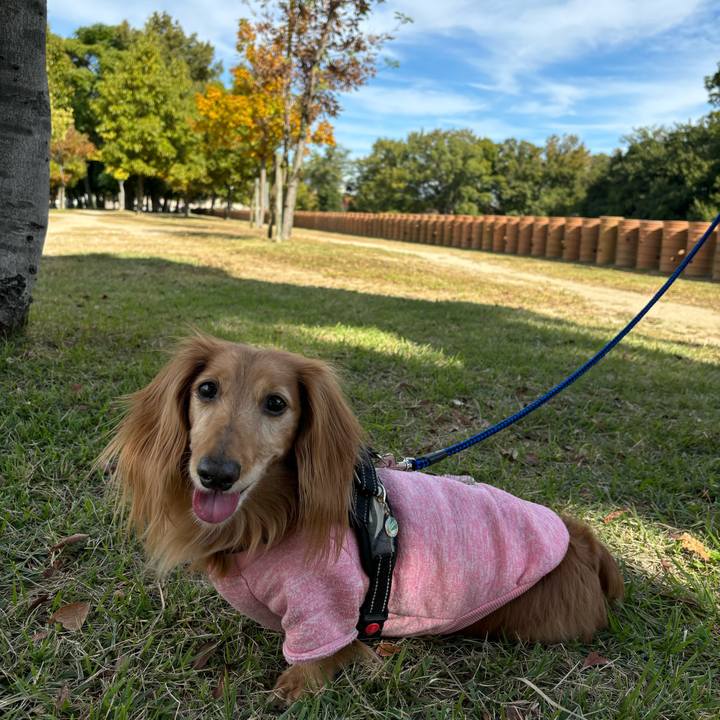 3644c220 882b 4056 b2bc 695259b2e0fe 1731219070755