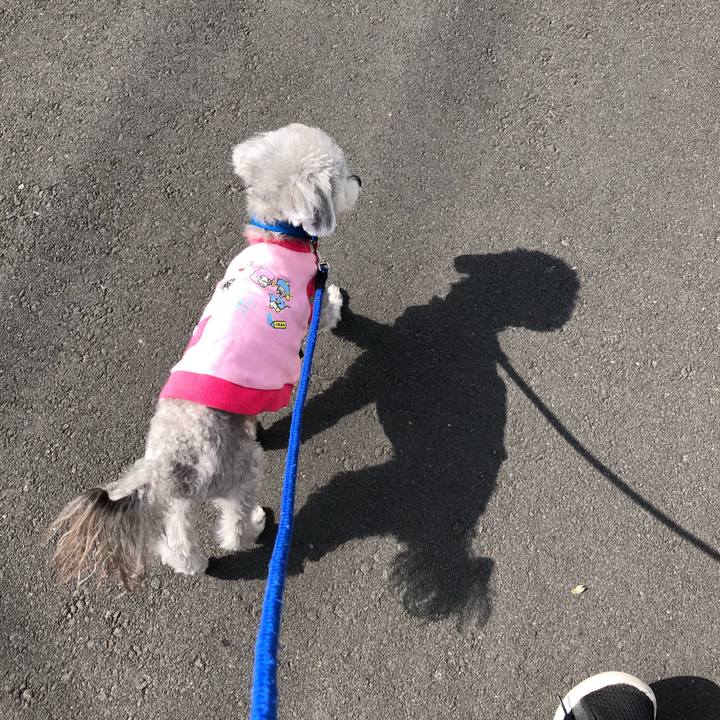 3645468b 7cf7 4440 8b16 0a44b5a9fdab 1617534613669