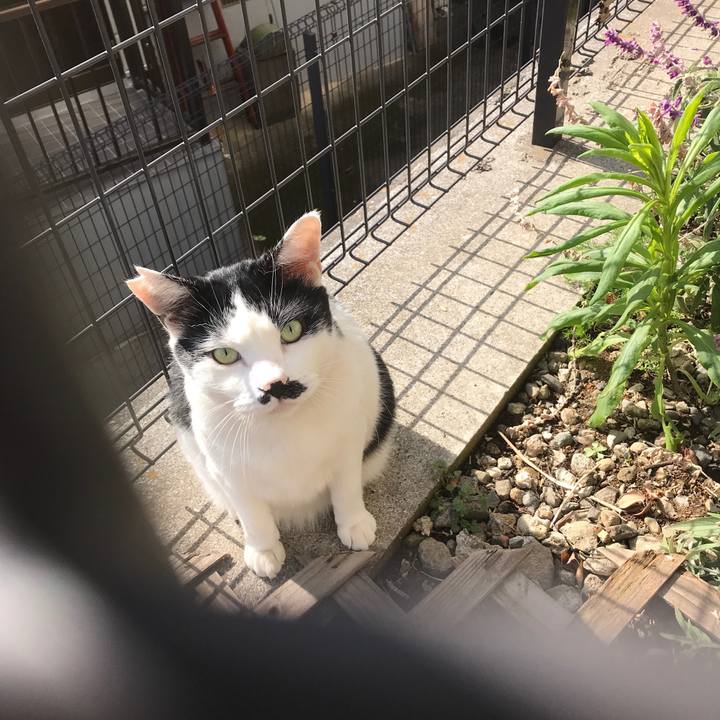 36455494 54b7 4d0e a9f8 6e671ed45f26 1549776799793