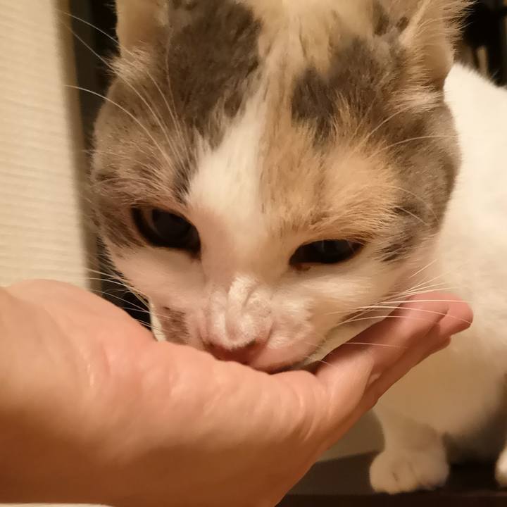 36456ea6 8b43 4e9a 9c78 963923dbbcc3 1572534272097