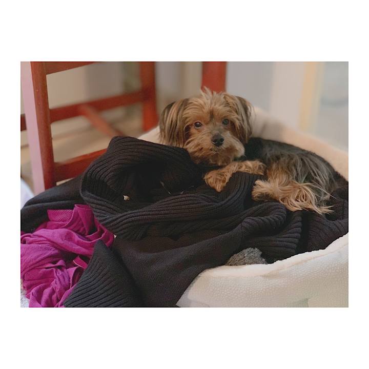 3645cfdd 3969 43ae 8e91 6d2ad7d032c0 1541753986675