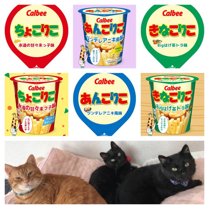 3645ed0f 74ea 4a8d 9129 fa5b4878ec05 1635456832383