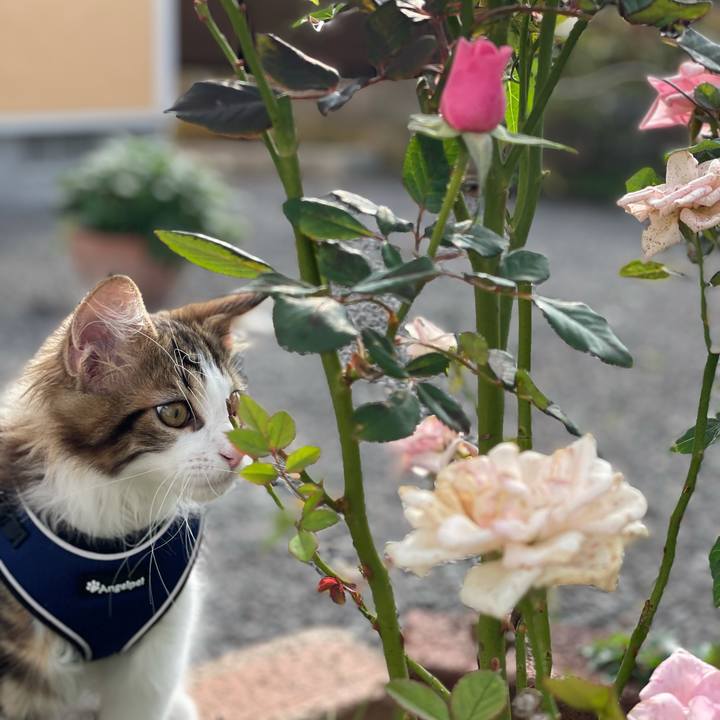 3645facc 9bf5 46b1 89e2 bc9fb75a256d 1633853999063