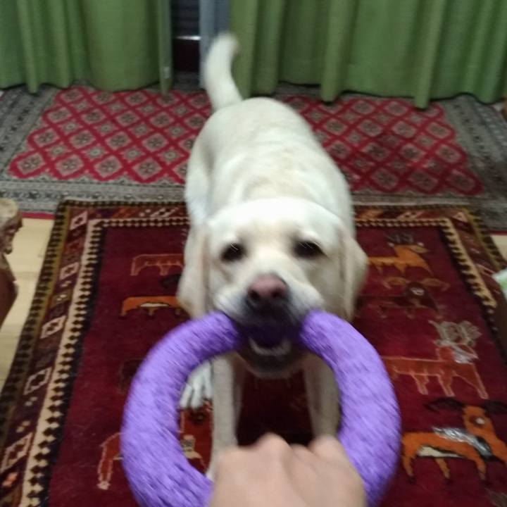 3646487d a537 46f8 9b63 789bdae9c823 1539085751564