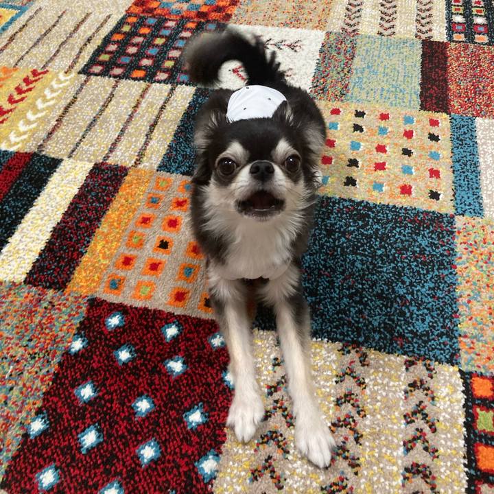 36465002 4118 49b3 8f4a 98c814d793aa 1692096620704