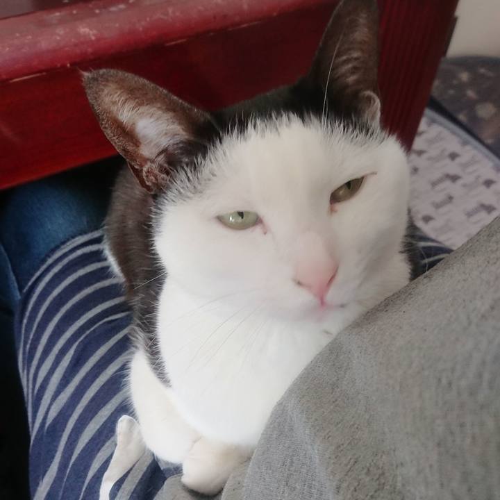 36468f9c a3d5 4b2a 8c2b acc7602e7492 1553221531713