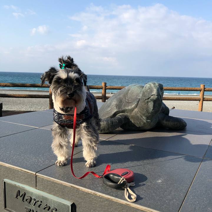 3646a95c 9678 41c4 9dfd 153698b4f531 1613037016508