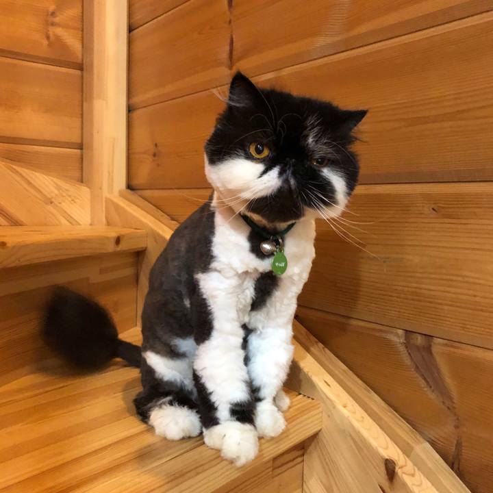 3646aeb5 3120 4b15 abf0 135e87b13771 1563265826097