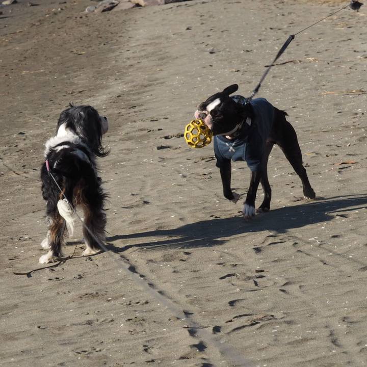 3646d01d 6a46 4201 b06d 9310114b9c4d 1544856721551