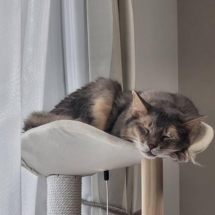 3646d7ea 2758 4072 8a12 78f0419f5923 1755858473545