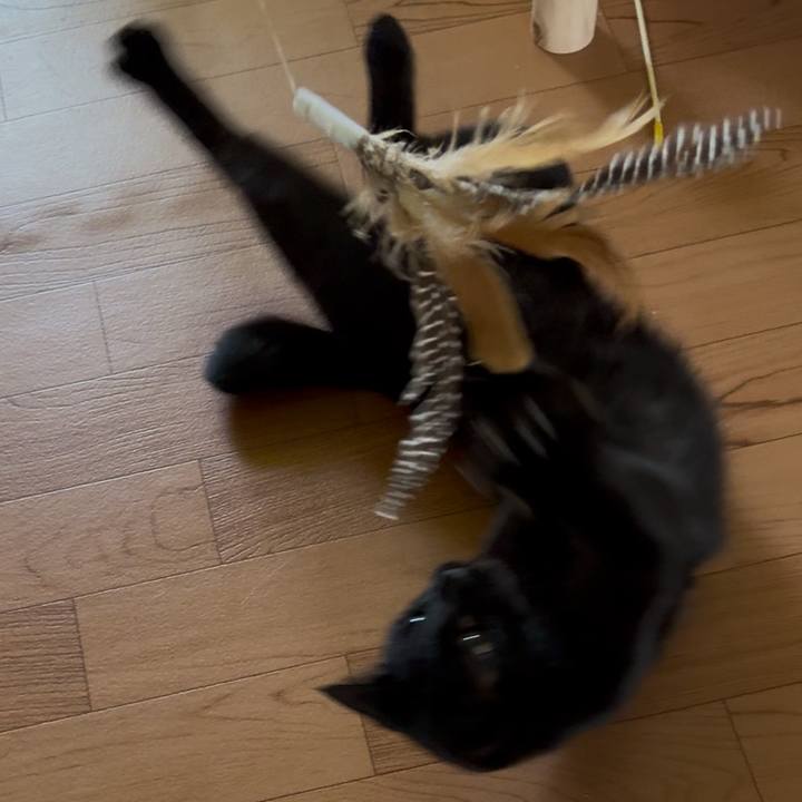 3646dfb8 a008 428d a5a0 e68fa0cd9b46 1750492094627