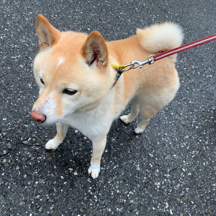 36474f73 85b2 40c9 b41c b3d420dda1e7 1654812745577