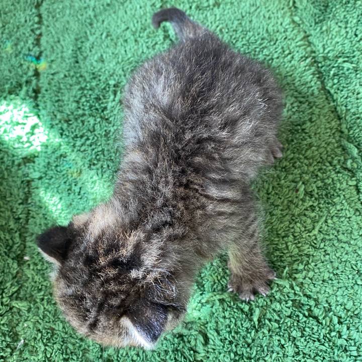 3647592d aad1 439d 9c59 2a9f6e82a86f 1636002594546