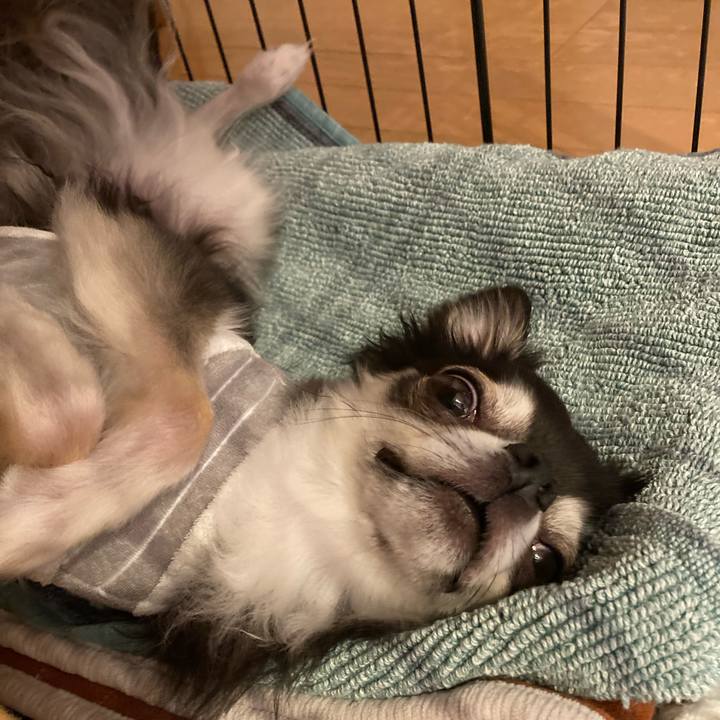 3647637a 9791 4d84 998f 9374c34b5570 1715513539957