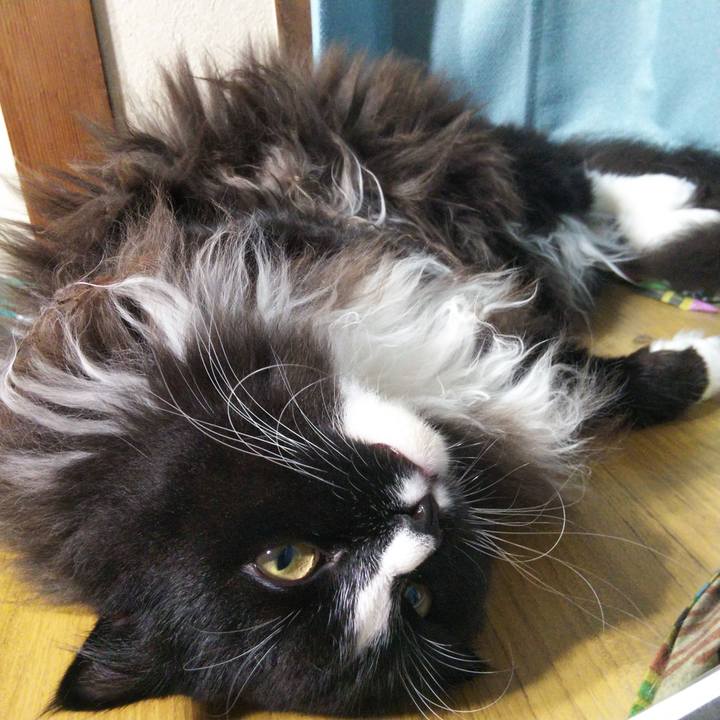 3647860d b6a6 46d3 becc 987f445d704d 1661477132439