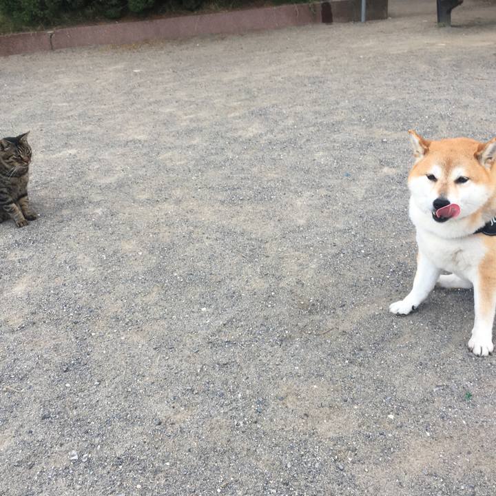 36479ea6 2e36 428d 9b4b b528e768aaae 1613308218343