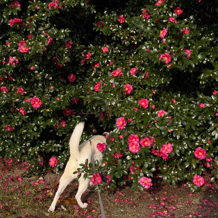 3647a742 0a14 47a7 8a28 be8b6abd6872 1765673998024