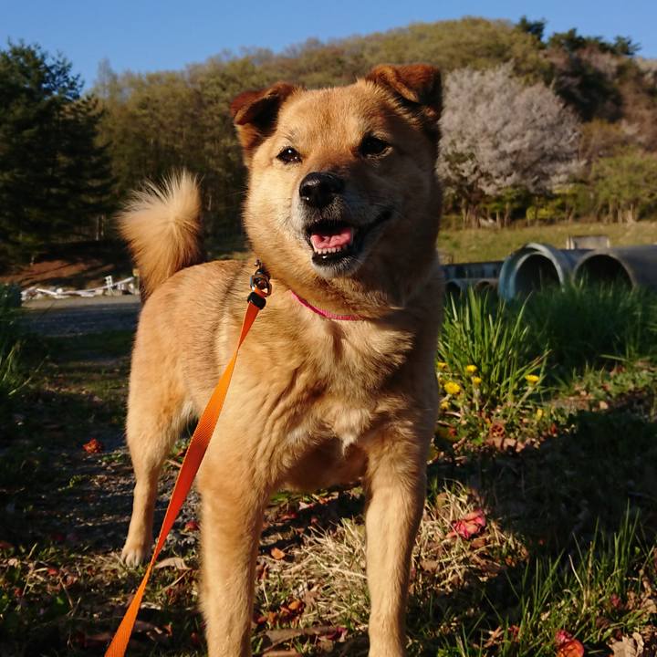 3647e79b 44a0 4168 85ad ffeb87978d49 1619336942296