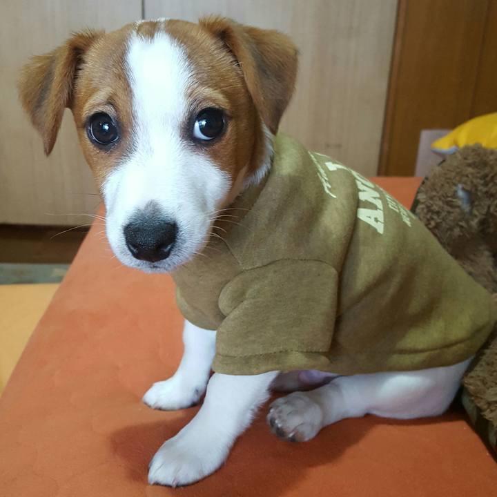 3647f95b 89a5 41c4 a41f 50e91582b568 1550824995267