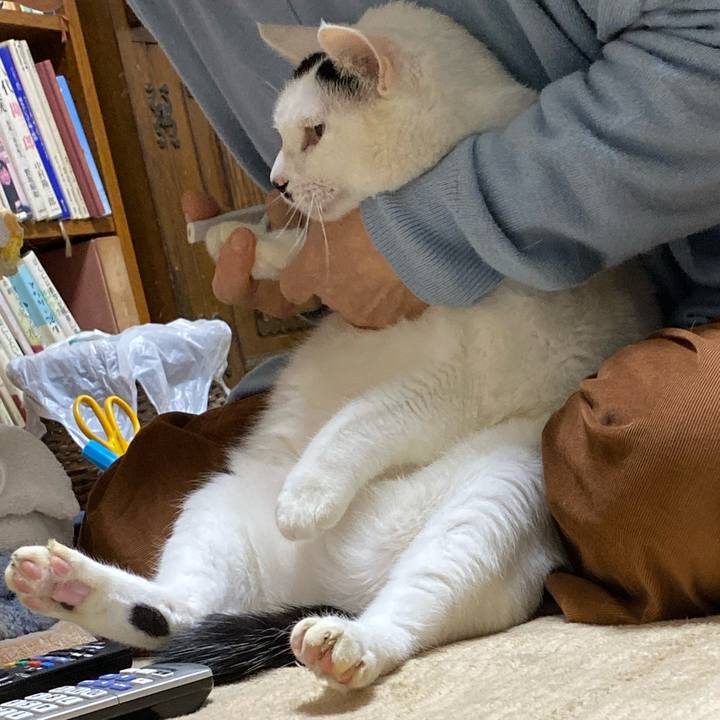 364814b3 812d 405c 8010 9e8a8c237bea 1572866286717