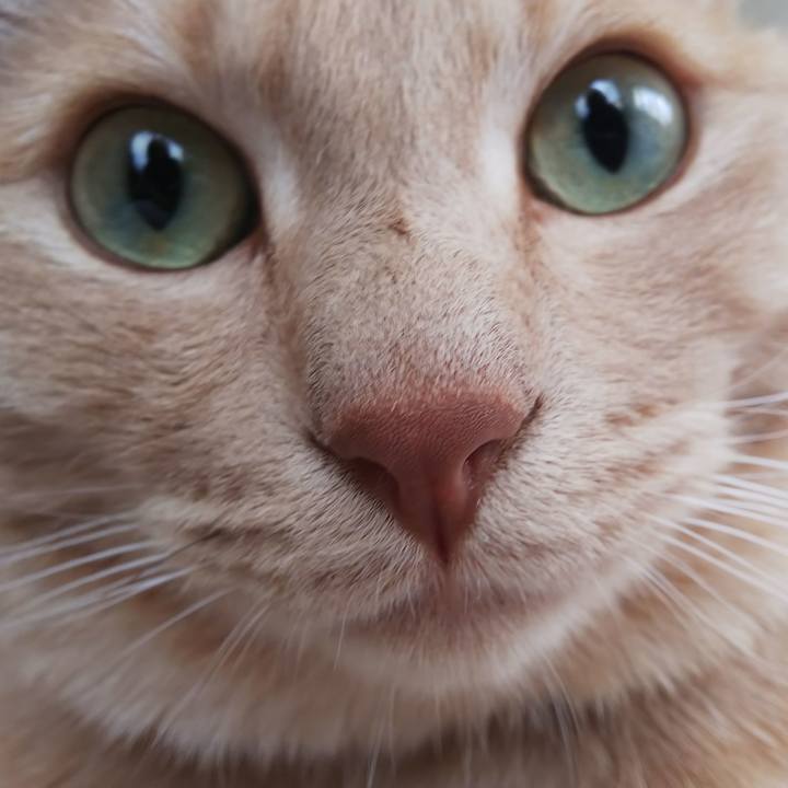 36481698 4a1d 4e1a 867b 1aabc07e5d36 1624059229814