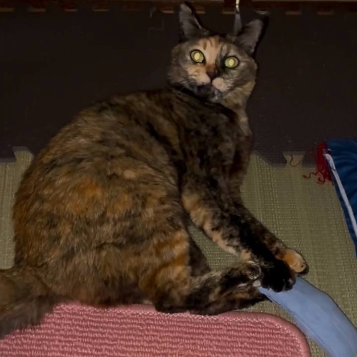 364831c4 9945 40df bb28 fac2cd36cd95 1771361095754