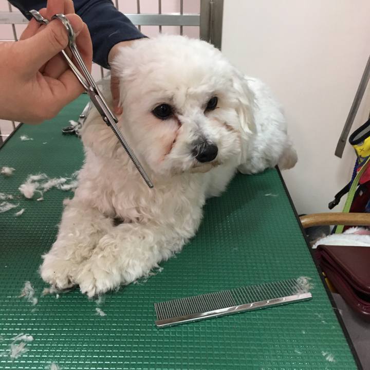 3648d024 7de3 4af0 bacf a9883801719a 1547871927314