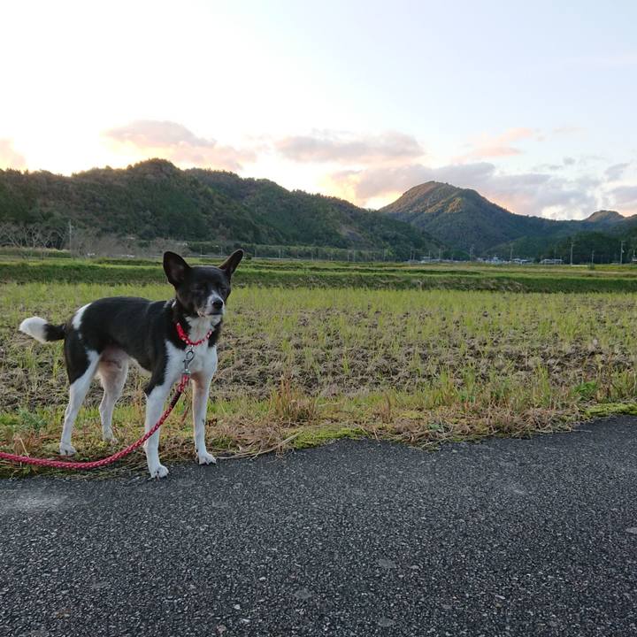 3648db57 bf27 41a5 9537 8ecc4e469920 1635256956585