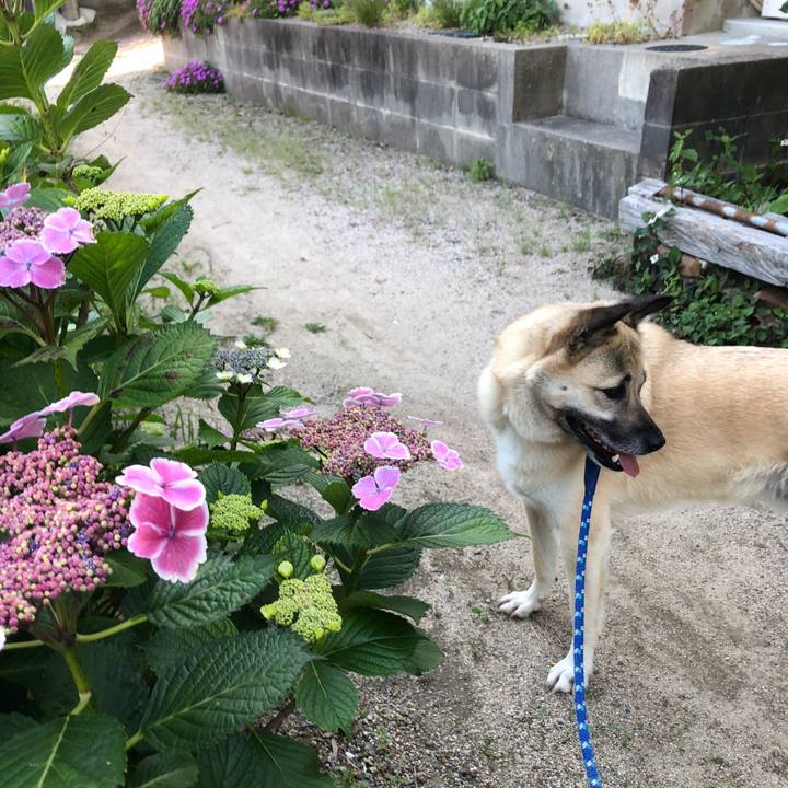 3648ddcf e928 4397 90b2 8de39860f1a3 1622277445836