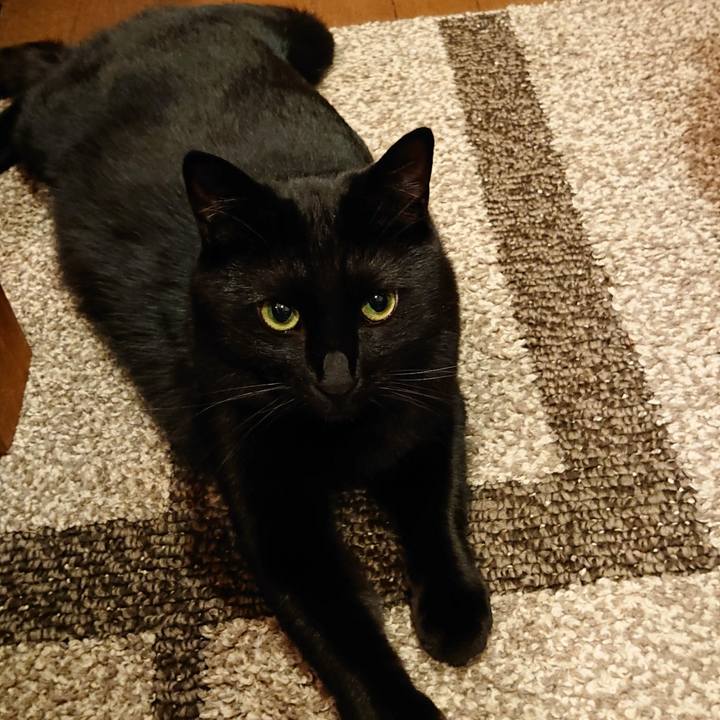 36490d0c 206a 4ce7 924f 661ac6229f41 1542639085590